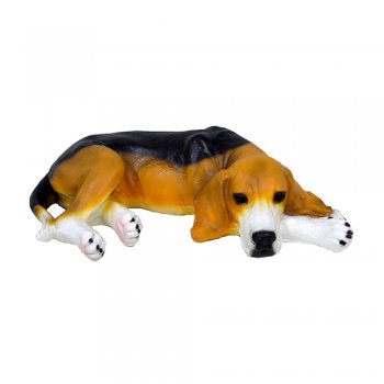 Cachorro Beagle Bili G