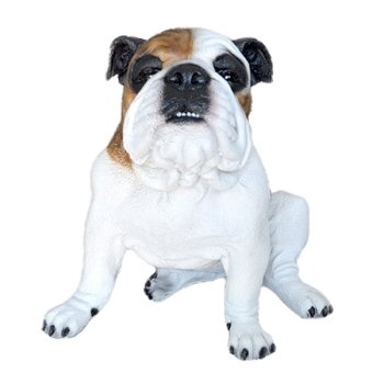 Cachorro Bulldog Inglês Duke G Branco e Marrom - 35x33x39cm