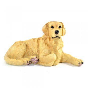 Cachorro Golden Retriever P