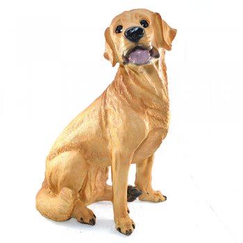 Cachorro Golden Retriever G
